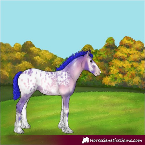 Horse Color:Gray Watercolor Amber Champagne Onyx Blanket 