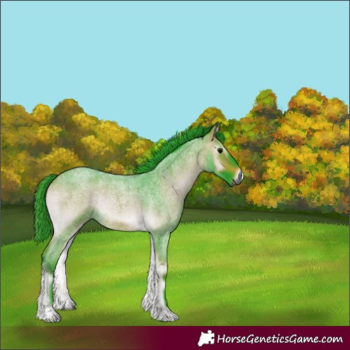 Horse Color:Gray Watercolor Buckskin Roan Onyx