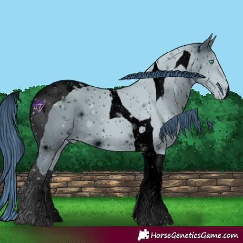 Horse Color:ERROR: UNKNOWN ANOMALY