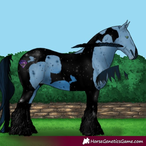 Horse Color:ERROR: UNKNOWN ANOMALY