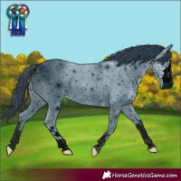 Horse Color:ERROR: UNKNOWN ANOMALY