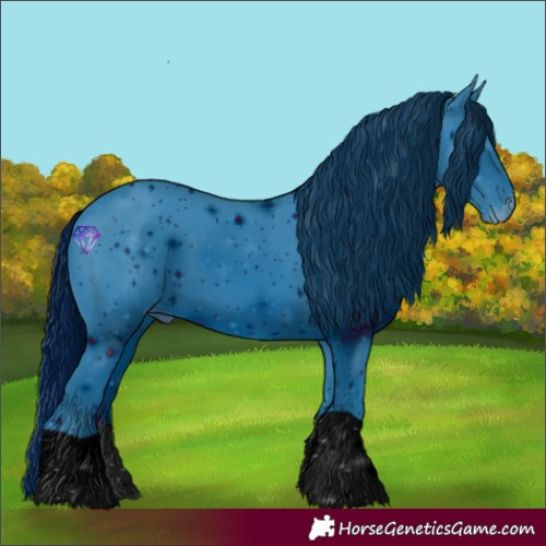 Horse Color:ERROR: UNKNOWN ANOMALY