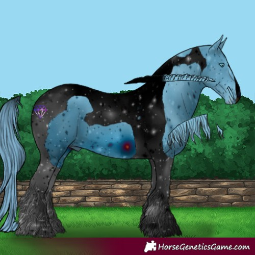 Horse Color:ERROR: UNKNOWN ANOMALY