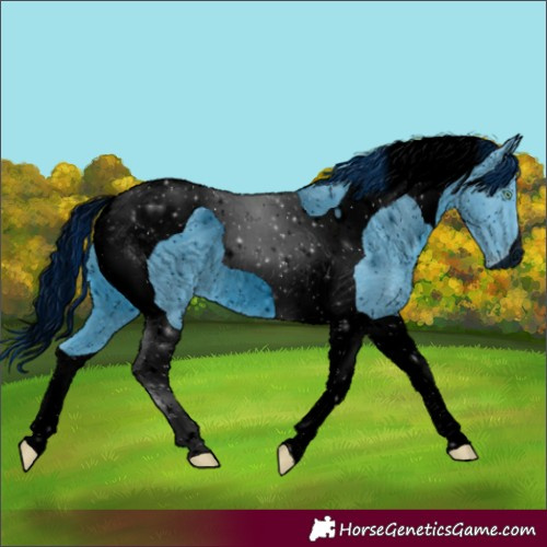 Horse Color:ERROR: UNKNOWN ANOMALY