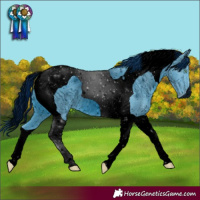 Horse Color:ERROR: UNKNOWN ANOMALY