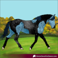 Horse Color:ERROR: UNKNOWN ANOMALY
