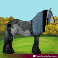 Horse Color:ERROR: UNKNOWN ANOMALY