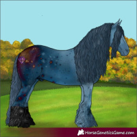 Horse Color:ERROR: UNKNOWN ANOMALY