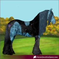 Horse Color:ERROR: UNKNOWN ANOMALY