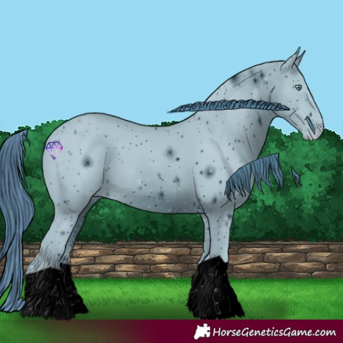 Horse Color:ERROR: UNKNOWN ANOMALY