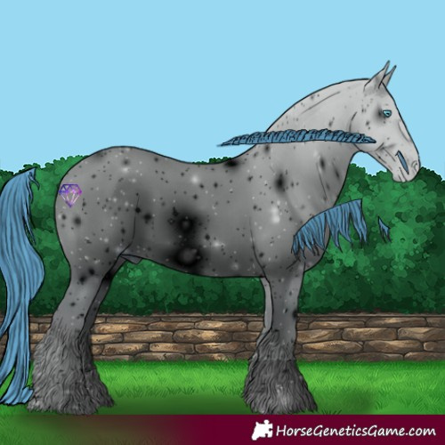 Horse Color:ERROR: UNKNOWN ANOMALY