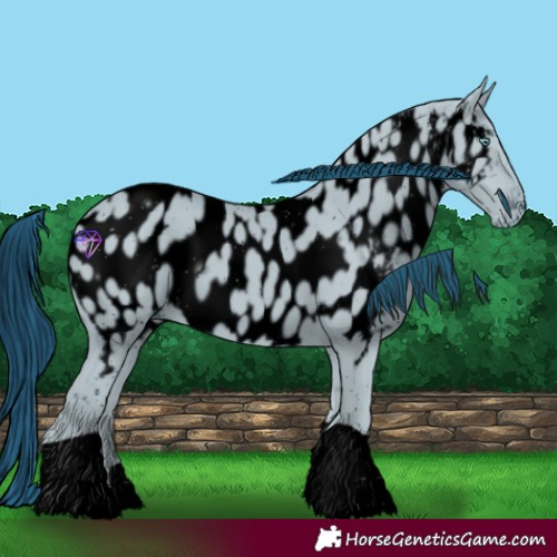 Horse Color:ERROR: UNKNOWN ANOMALY