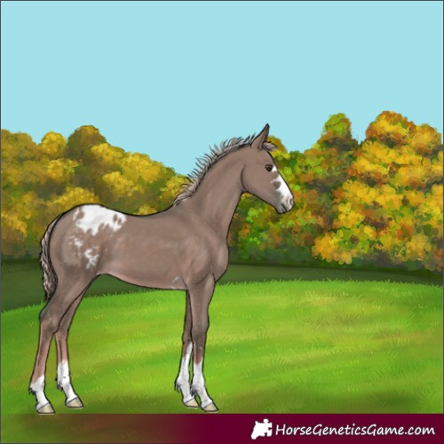 Horse Color:Watercolor Chocolate Palomino Dun Varnish 
