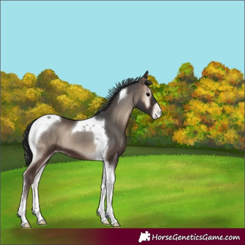 Horse Color:Blue Onyx Tobiano Varnish