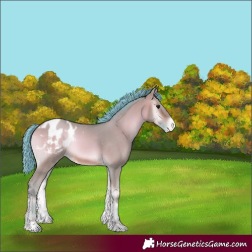 Horse Color:Watercolor Sable Champagne Onyx Blanket 