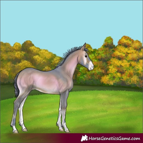 Horse Color:Watercolor Brown Onyx Varnish