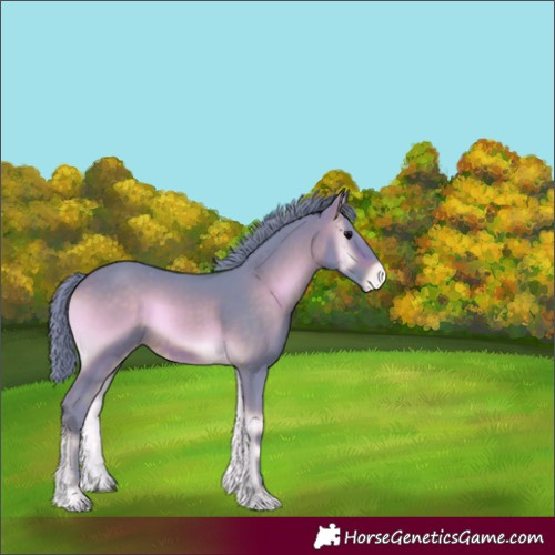Horse Color:Watercolor Brown Onyx Varnish