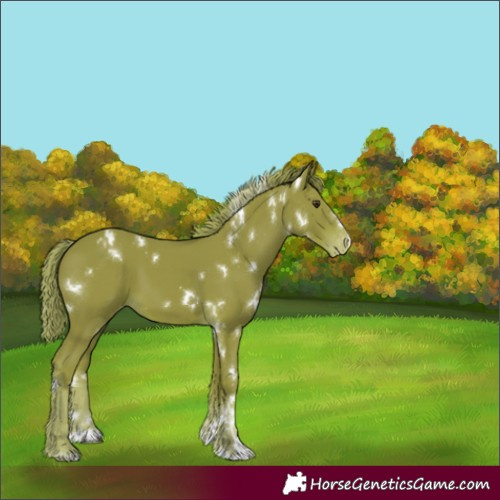 Horse Color:Watercolor White Spotted Liver Chestnut Varnish