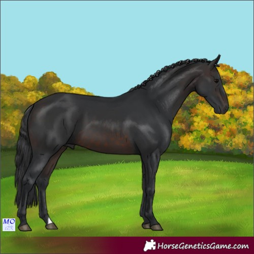 Horse Color:Brown 