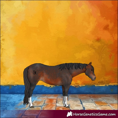 Horse Color:Bay Tobiano