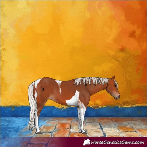 Horse Color:Silver Bay Tobiano