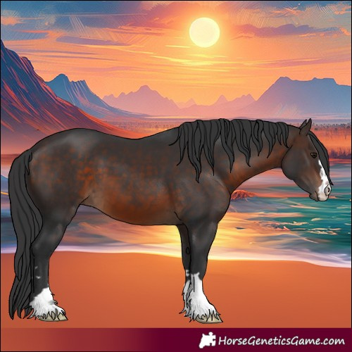 Horse Color:Brown 