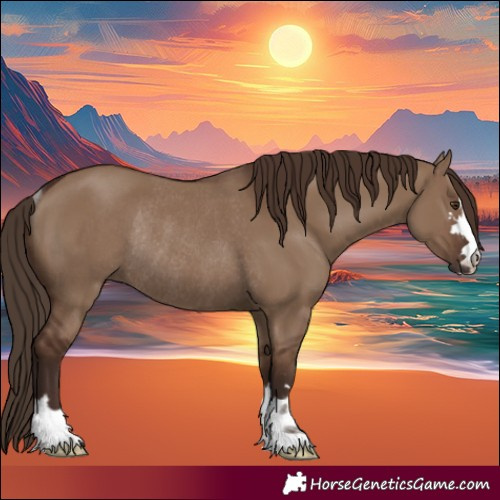 Horse Color:Liver Red Dun Rabicano 