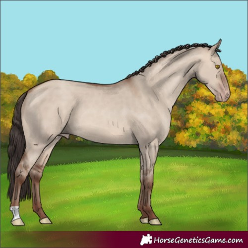 Horse Color:Sable Champagne Dun 