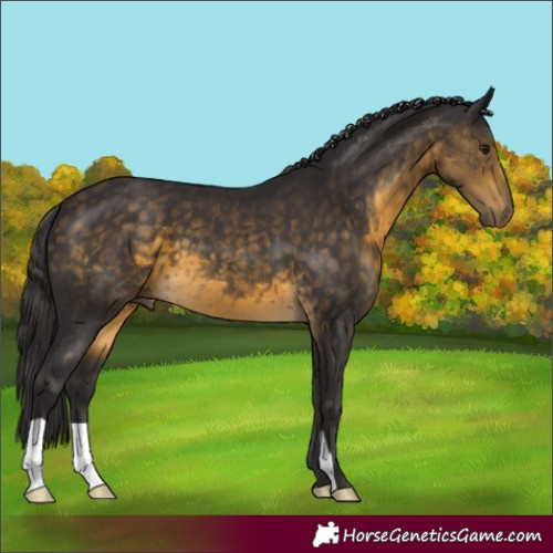 Horse Color:Buckskin