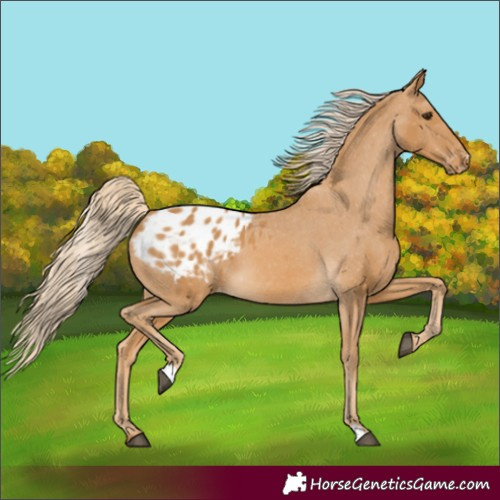 Horse Color:Palomino Varnish 