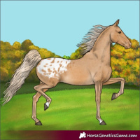 Horse Color:Palomino Varnish
