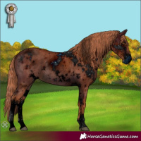 Horse Color:ERROR: UNKNOWN ANOMALY
