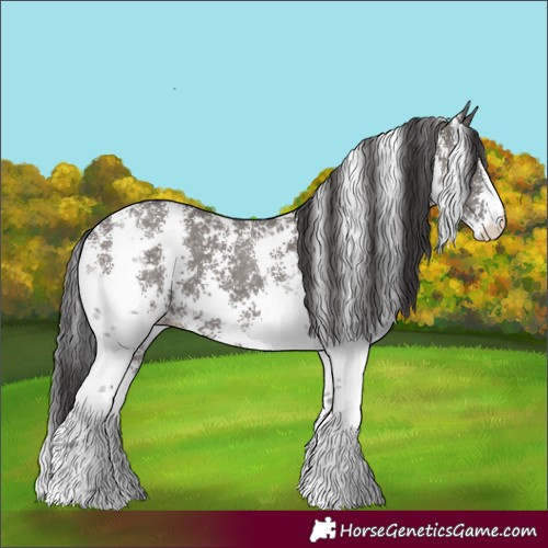 Horse Color:Smoky Grullo Sabino 