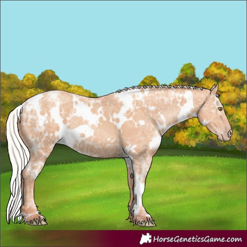 Horse Color:White Spotted Silver Amber Champagne Ice 