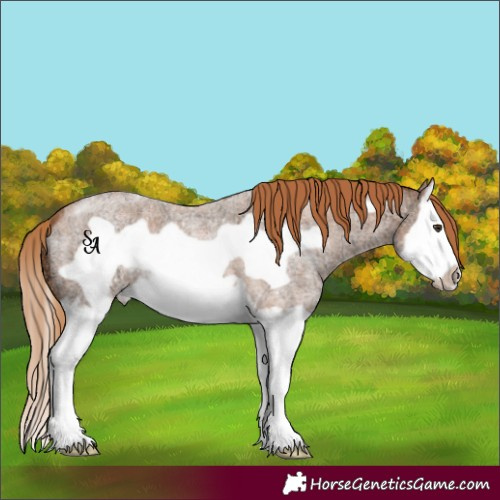 Horse Color:Red Ice Roan Splash Frame 