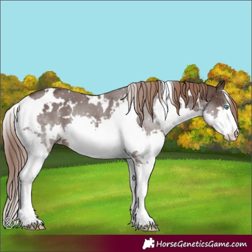 Horse Color:White Spotted Liver Chestnut Splash 