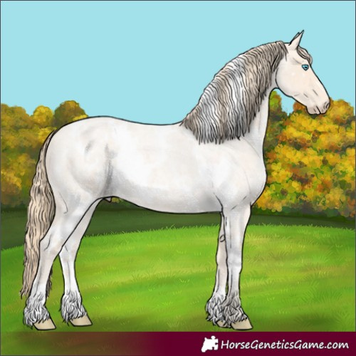 Horse Color:White Spotted Perlino Roan 