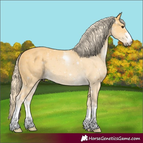 Horse Color:Palomino 