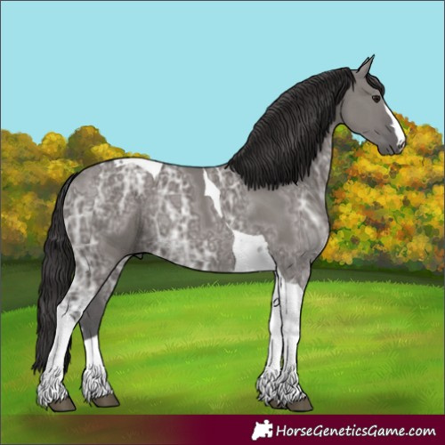 Horse Color:Smoky Grullo Ice Tobiano