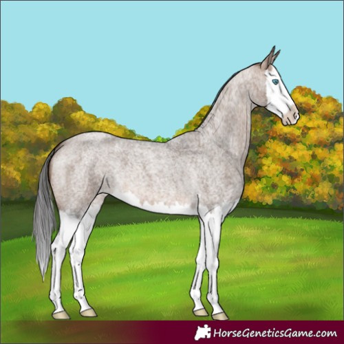 Horse Color:Brown Roan Dun Splash