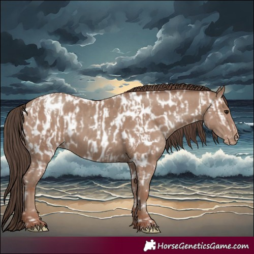 Horse Color:Classic Champagne Near Leopard  and Classic Champagne Near Leopard 