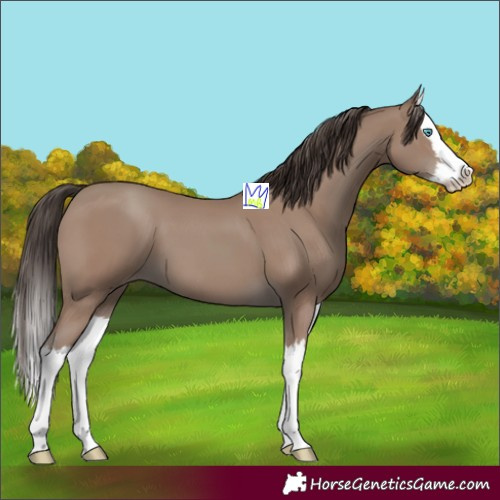 Horse Color:Classic Champagne Splash 