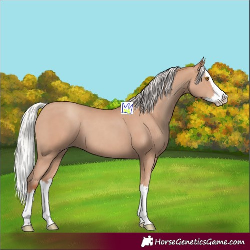 Horse Color:Silver Classic Champagne Splash 