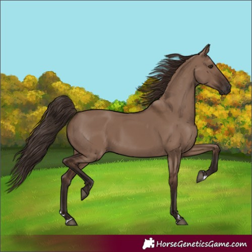 Horse Color:Liver Red Dun Rabicano