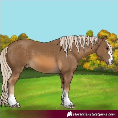 Horse Color:Chocolate Palomino 