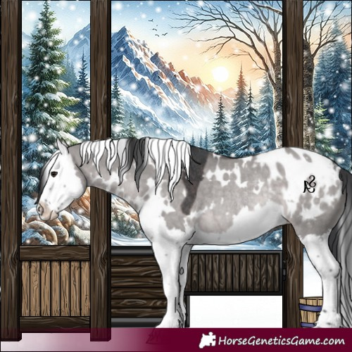 Horse Color:Platinum White Spotted Brown Dun Splash Appaloosa Rabicano 