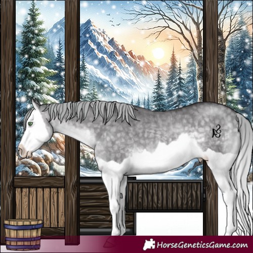 Horse Color:Platinum Silver Buckskin Dun Splash Rabicano Brindle 