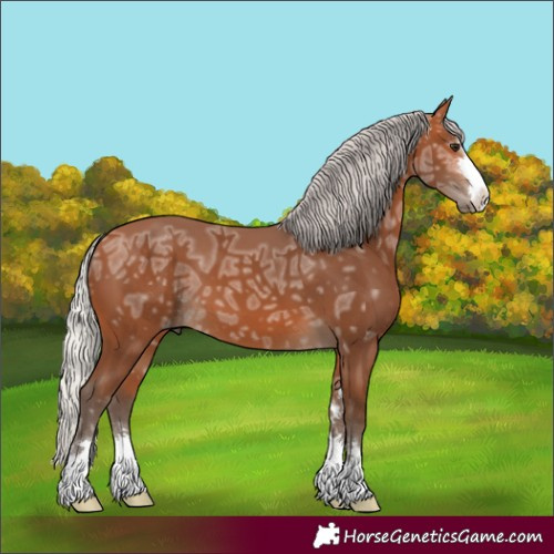Horse Color:Silver Bay Ice 