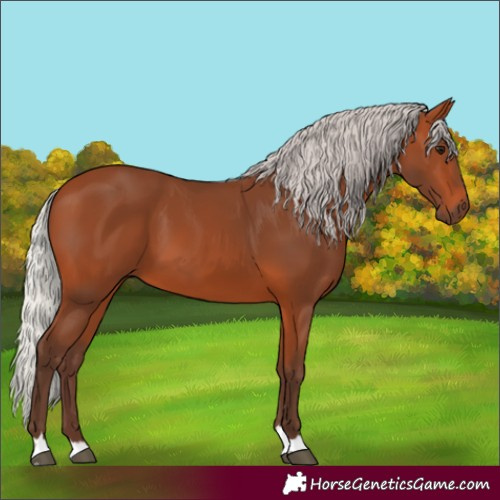 Horse Color:Silver Bay 