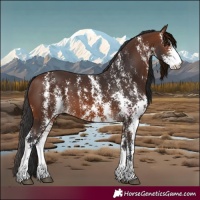 Horse Color:Brown Sabino 